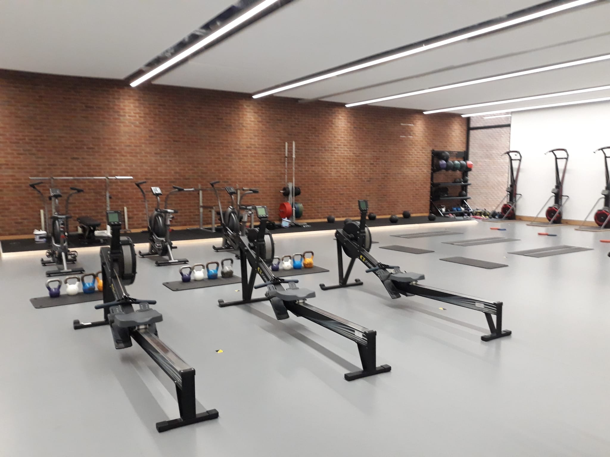 row of rowing machines in a gym group training class