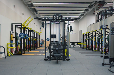 free weights area on the lower gym floor
