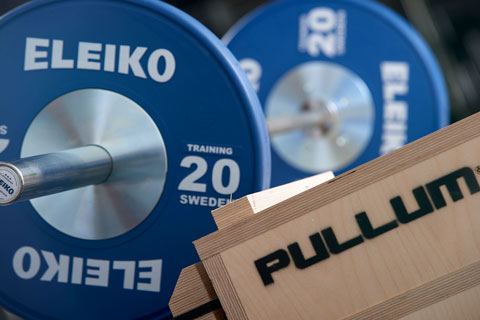 Pull weight plates on an olympic bar