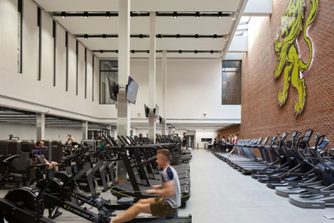 rows of cardiovascular and resistance machines in the upper floor of the gym