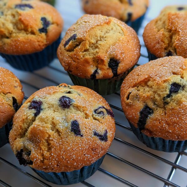 fresh blueberry muffins spaced out on a cooling rack