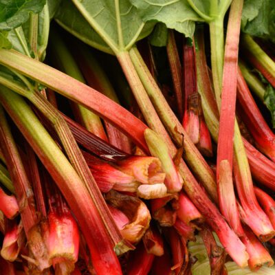 Rhubarb Stalks