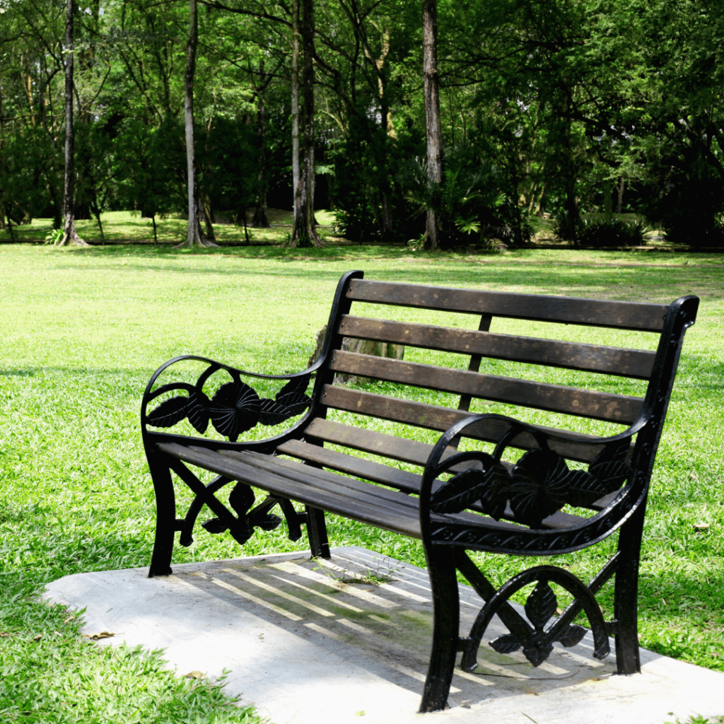 Bench in park