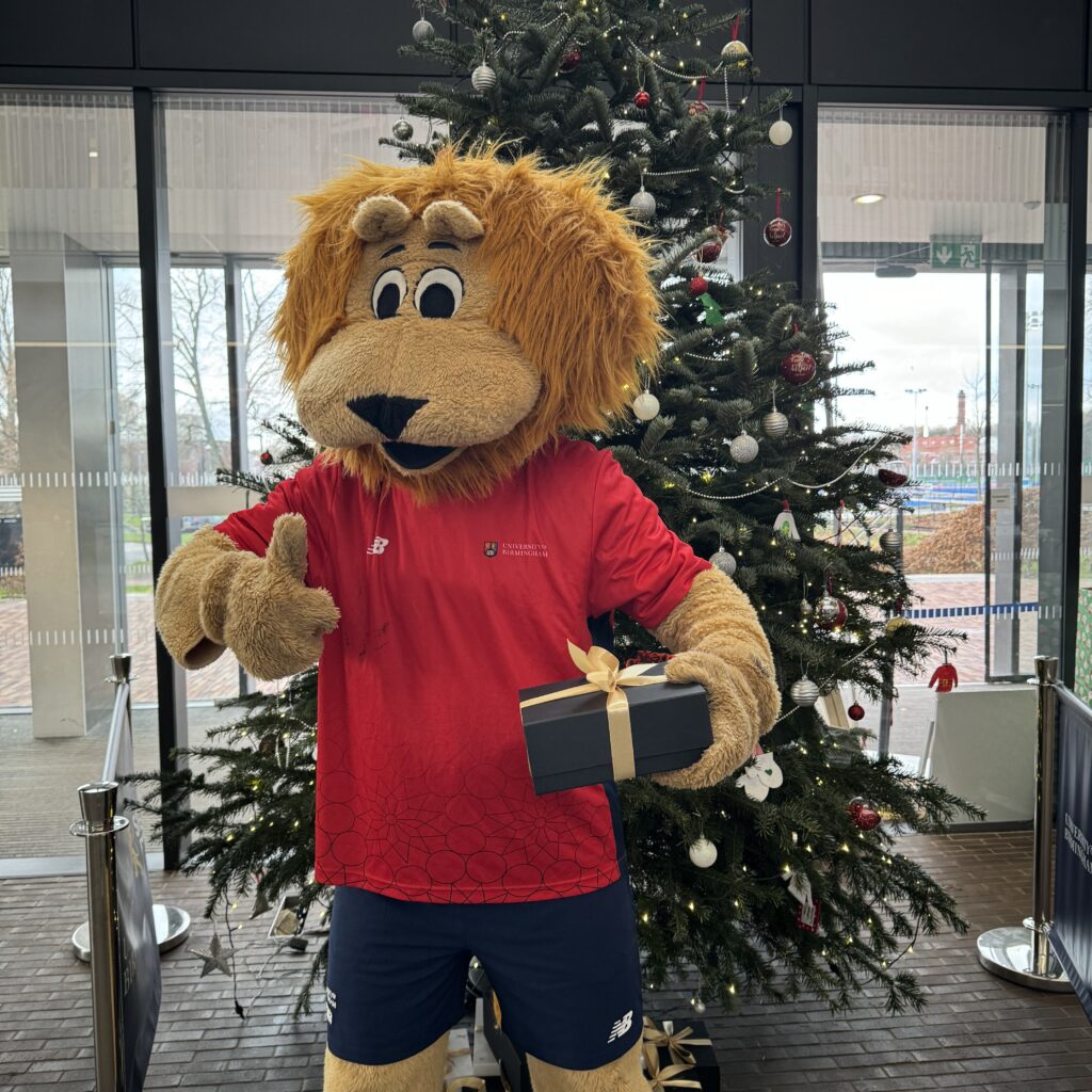 Mascot Rory the Lion standing in front of a Christmas tree with gift in hand.